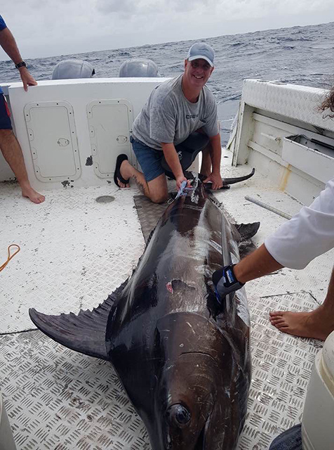ANGLER: Mick Roberts SPECIES: Blue Marlin WEIGHT: 190kg LURE: 9.5" JB Little Jindivick.